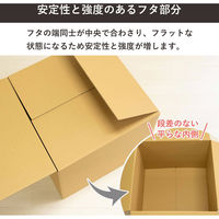 トッパン・コスモ 160サイズダンボール 30枚セット 55×55×40cm FD22-0030-SK 1セット(30枚)（直送品）