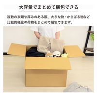 トッパン・コスモ 160サイズダンボール 2枚セット 58×48×46cm FD36-0002-SK 1セット(2枚)（直送品）