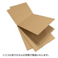 トッパン・コスモ 190サイズダンボール 2枚セット 130×45×15cm FU03-0002-SK 1セット(2枚)（直送品）