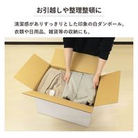 トッパン・コスモ 140サイズ白ダンボール 5枚セット 53×38×33cm FW04-0005-SK 1セット(5枚)（直送品）