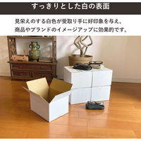 トッパン・コスモ 60サイズ白ダンボール 10枚セット 24×19×14cm FW08-0010-SK 1セット(10枚)（直送品）