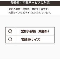 トッパン・コスモ ポスターカレンダーダンボール B2 500枚セット MA02-0500-SK 1セット(500枚)（直送品）