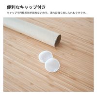 トッパン・コスモ 紙管 紙筒 丸筒 A2 3本セット ポスターカレンダー SS10-0003-SK 1セット(3本)（直送品）