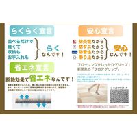 スミノエ ECOS ホームタイルカーペット R-1008 4955141383689 1枚