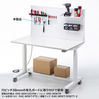 サンワサプライ 作業台専用オプション スチール製フック 6種 12個入 RAC-WDKT-FKSET2 1セット（直送品）