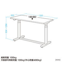 サンワサプライ 電動昇降作業台 塩ビ天板 幅1200×奥行500mm ベージュ×ホワイト ERD-WDKP12050BG 1台（直送品）