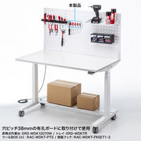 サンワサプライ 作業台専用オプション 樹脂フック 4種 12個入 レッド RAC-WDKT-FKSET1 1セット（直送品）