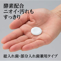 【入れ歯洗浄剤】 あらた Clesh 入れ歯洗浄剤 120錠 465701 1個