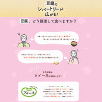 ソイーネ 豆腐ドライキーマカレーの素 1袋 ハウス食品 料理の素 時短