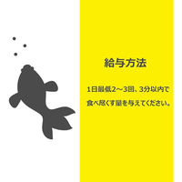 テトラ テトラミン すべての熱帯魚の主食 200g 1個 スペクトラムブランズジャパン