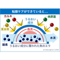 テトラ 金魚の水つくり 500ml カルキぬき 淡水用 1個 スペクトラムブランズジャパン 水質調整剤