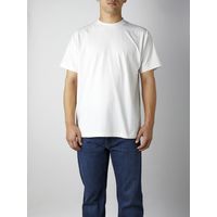 TRUSS サステナブル コットンライクドライ Tシャツ 半袖 吸汗速乾 ホワイト CLD-923-1-XXL XXL 1枚（直送品）