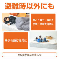 ササガワ 簡易ベッド ダンdeベッド 32-8668 1台（直送品）