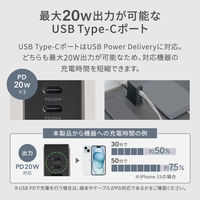 オウルテック 6台同時充電可能 多ポートAC充電器 ブラック OWL-APD64C2A4-BK 1個