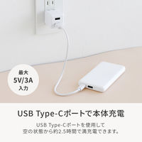 オウルテック ポケットサイズ薄型モバイルバッテリー 5000mAh ブラック OWL-LPB5013-BK 1個