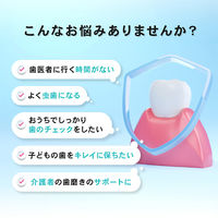 オムニ デンタルプラークチェックライト 歯石歯垢チェッカー 虫歯予防 OMC-DTHA001 1台（直送品）