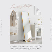 武田コーポレーション スタンドミラーワイドGD A3-SM150GD 1箱(1個入)（直送品）