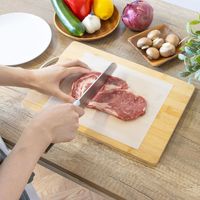 武田コーポレーション 切れてる抗菌まな板シート 20枚入り KKMSM-20 1箱(20ピース×60個入)（直送品）