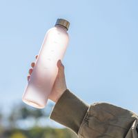 武田コーポレーション タイムマーカー付きドリンクボトルPI 900ml TMDB-900PI 1箱(18個入)（直送品）
