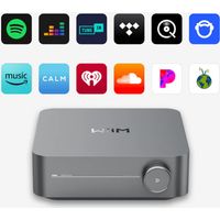 Linkplay Technology ネットワークプレイヤー/シルバー WIIM-AMP-SILVER 1個（直送品）