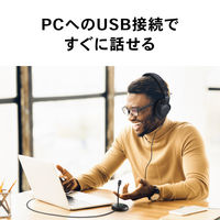 オーディオテクニカ USBマイクロホン ATR4800-USB 1個