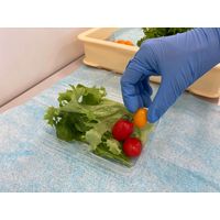 日本製紙クレシア ワイプオールX50 フードエリア ブルー 4つ折り 60660 1パック