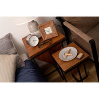 東谷 ROOM ESSENCE ジェラルド サイドテーブル S 幅250×奥行250×高さ455mm ブラウン JW-101B 1台（直送品）