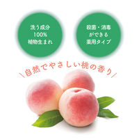 ナイーブ 薬用植物性 泡ハンドソープ ポンプ 自然でやさしい桃の香り 本体 500ml 1個 すみっコぐらし クラシエ【泡タイプ】