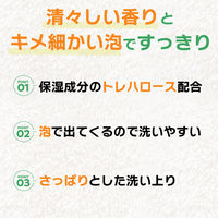 パックス　お肌しあわせハンドソープ　詰替用　300mL　1セット(6個)　太陽油脂　泡　無添加　天然由来100%　せっけん　ゼラニウム＆ラベンダー