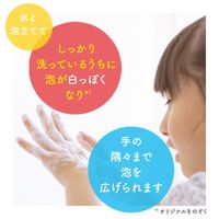 ミューズ 泡ハンドソープ フルーティフレッシュの香り 大型詰替 450ml 1セット（1個×5）【泡タイプ】