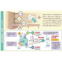 【アウトレット】【数量限定】除菌 消臭剤 PROPRE（プロプリー） 光触媒除菌消臭剤 300ml 本体