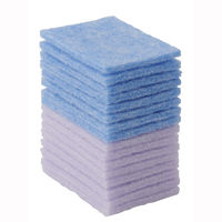 激落ちくん 水だけで落ちる 気になる汚れにサッと使える キッチンクリーナー 重曹 茶シブ・油汚れ用 16枚入 1セット（1個×10）レック