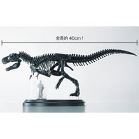 学研ステイフル ティラノサウルス骨格模型&ポスター Q750763 1個