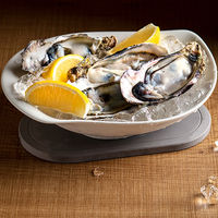 イシガキ 珪藻土 ピッチャートレー オーバル Karari HO2108 1個