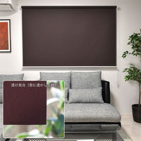 トーソー 【規格品】チェーンタイプ・ロールスクリーン 幅45cm×高さ180cm ブラウン 4975559890531 1セット（直送品）