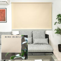 トーソー 【規格品】チェーンタイプ・ロールスクリーン 幅35cm×高さ150cmアイボリー 4975559890470 1セット（直送品）