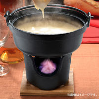 イシガキ 固形燃料 ケイネン 25g×30個入り アルミ付き 4132 1個（直送品）