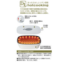 イシガキ デリッシュライフ 料理ができるお皿 スクエア M 浅型 4276 1個（直送品）