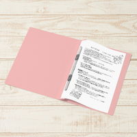 プラス 紙製ファイル フラットファイル 年組氏名 B5 タテ ピンク 79528 1冊