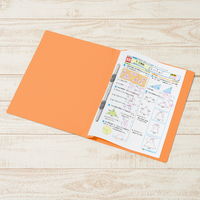 プラス PP製 フラットファイル 年組氏名 A4 タテ オレンジ 79490 1箱(1袋(10冊入)×10)