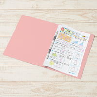 プラス 紙製ファイル フラットファイル ねんくみなまえ A4 タテ ピンク 79588 1箱(1袋(10冊入)×10)