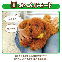 よんで！だっこして！おへんじアニマル トイプードル 33003 1セット ぬいぐるみ 医療 介護施設 癒し コミュニケーション アーテック