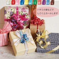 シモジマ カールリボン 18×30 シロ 001418701 1巻