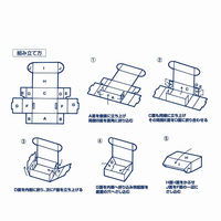【アウトレット】シモジマ ナチュラルBOX Zー5 006200510 1袋(10枚)