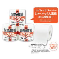イトマン 緊急備蓄1R250S 10250004 1ロール