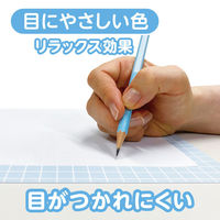 共栄プラスチック 下敷 しっかりシタ字キ A4 方眼/無地リバーシブル ラムネ SHS-A4-04 1本