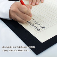 あかしや 写経用下敷 Y-AE-09 1個