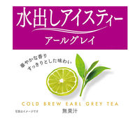 日東紅茶 水出しアイスティー アールグレイ 500ml用 1袋（100バッグ入）三角ティーバッグ 大容量 業務用