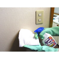 友和 ホームケアシリーズ ヤニ汚れ用 683256 1個