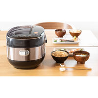 太知ホールディングス 発芽玄米炊飯器 ARM-500 1個（直送品）